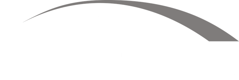 Bridge Connection Strategic Consulting Logo